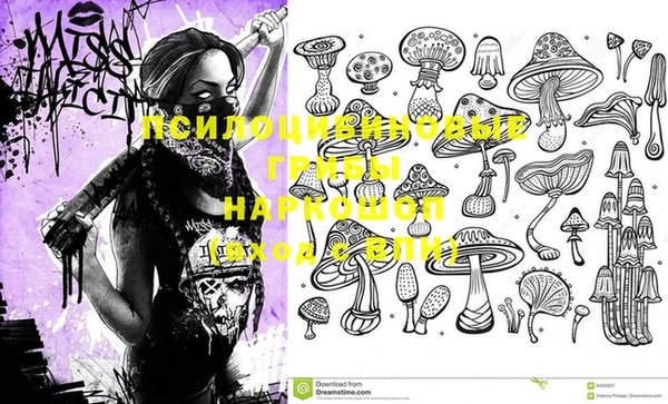 PSILOCYBIN Абдулино