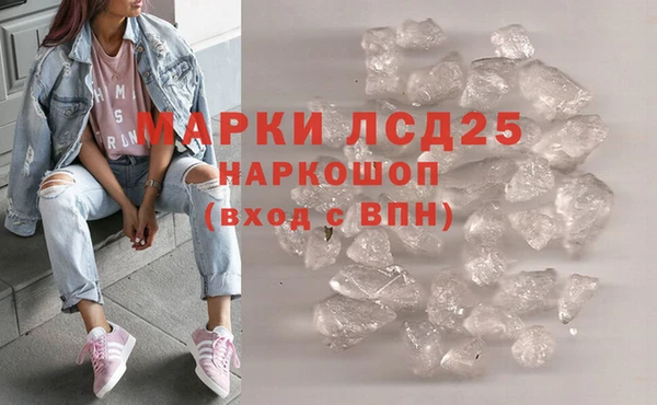 стаф Михайловск
