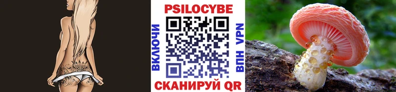 OMG маркетплейс  Темников  Галлюциногенные грибы Cubensis 